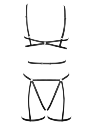 Ensemble 3 pièces soutien-gorge harnais, porte-jarretelles et string - R24805221101